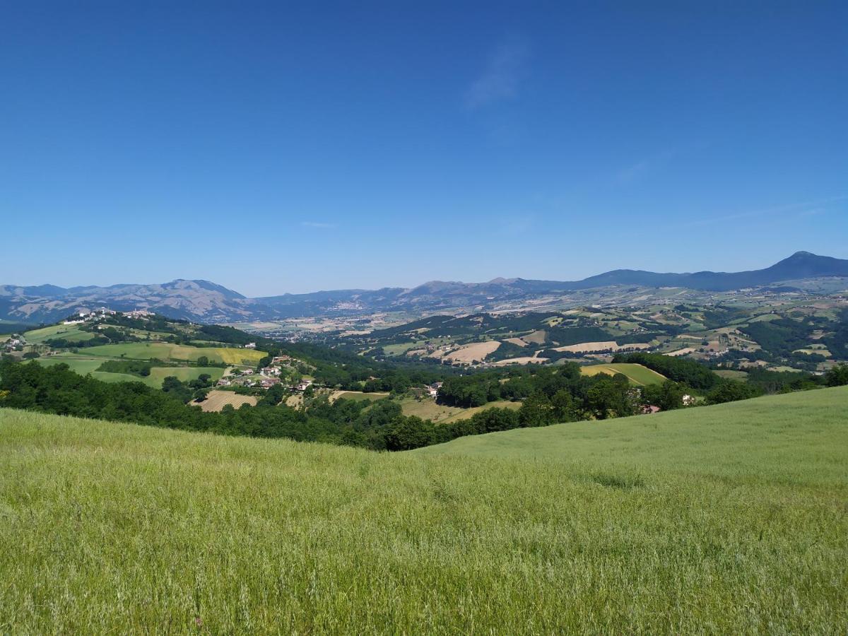 All Inbasilicata Bed & Breakfast Baragiano Exterior photo